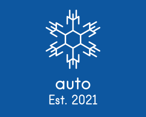 Cold - Hexagon Winter Snowflake logo design