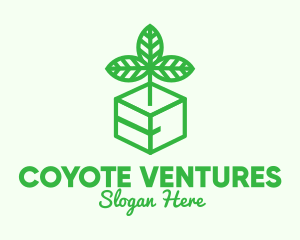 Green Plant Box logo design