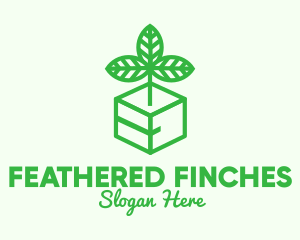 Green Plant Box logo design