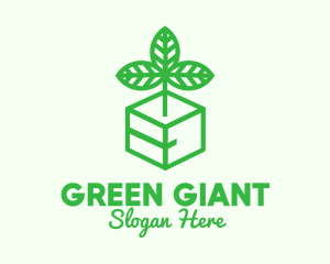 Green Plant Box logo design