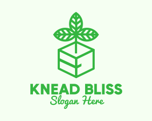 Green Plant Box logo design