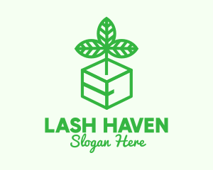 Green Plant Box logo design