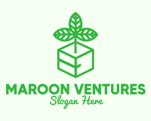 Green Plant Box logo design