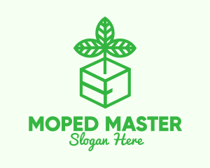 Green Plant Box logo design