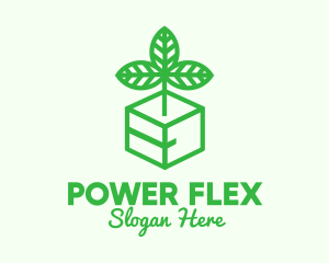 Green Plant Box logo design