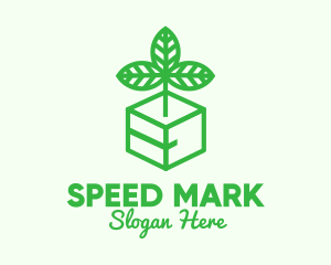 Green Plant Box logo design