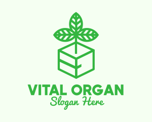 Green Plant Box logo design