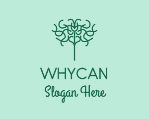 Organic Herbal Tree Logo
