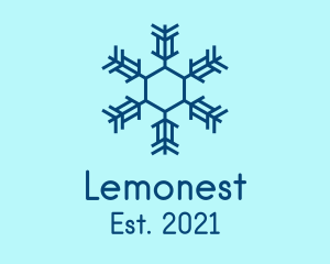 Weather - Winter Snowflake Pattern logo design