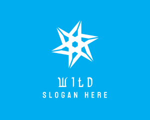 Cold Winter Snowflake Logo