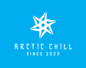 Freezing - Cold Winter Snowflake logo design