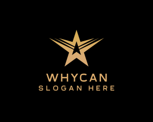 Professional Star Wings Agency Logo