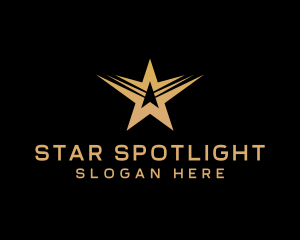 Professional Star Wings Agency logo design