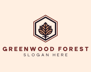 Eco Tree Leaf logo design