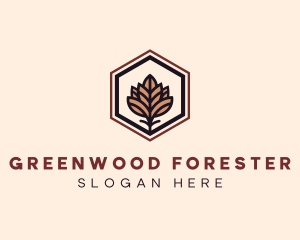 Eco Tree Leaf logo design