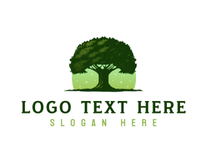 Oak - Oak Tree Nature logo design