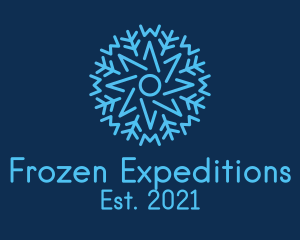 Antarctica - Frozen Snowflake Star logo design