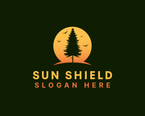 Pine Tree Sunset logo design