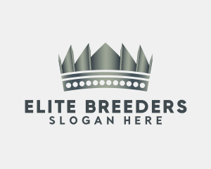 Elite Royal Crown logo design