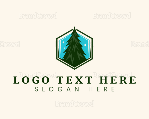 Eco Pine Tree Logo