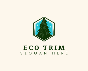 Eco Pine Tree logo design