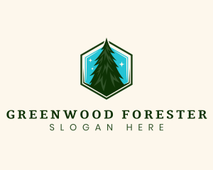 Eco Pine Tree logo design