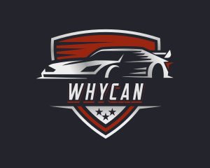 Car Care - Race Car Automobile Vehicle logo design