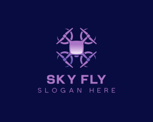 Aerial Drone Photography logo design