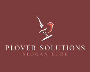 Plover - Minimalist  Swallow Bird logo design