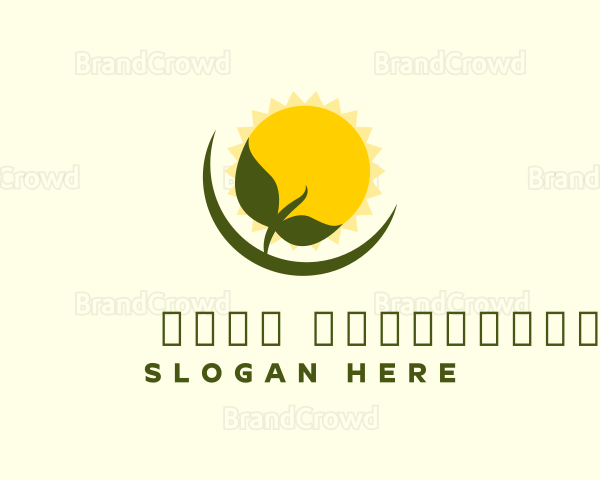 Sunshine Plant Seedling Logo