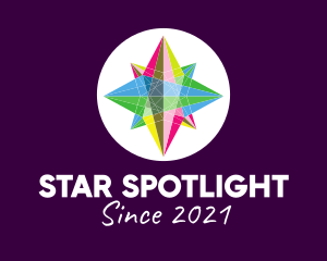 Colorful Crystal Star logo design