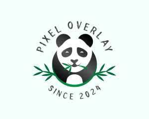 Panda Bear Animal Logo