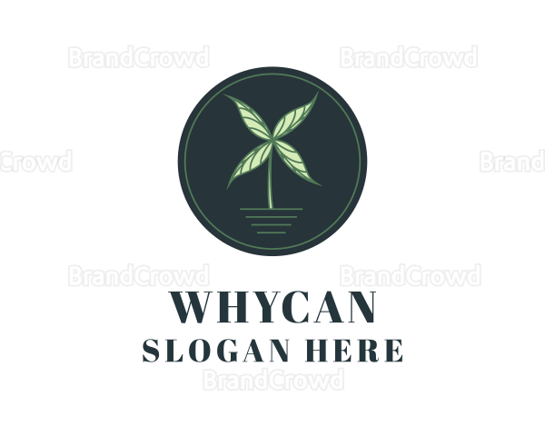 Natural Leaf Windmill Logo