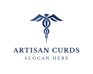 Blue Hospital Caduceus logo design