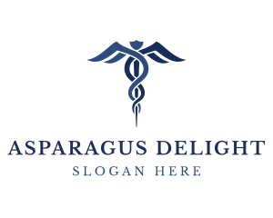 Blue Hospital Caduceus logo design