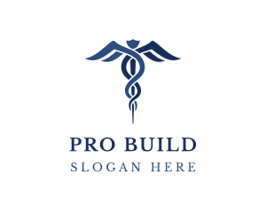 Blue Hospital Caduceus logo design