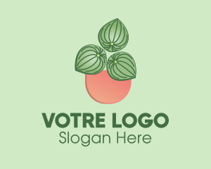 Watermelon Peperomia Plant Logo