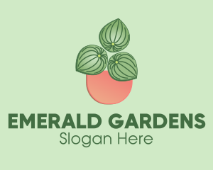 Watermelon Peperomia Plant logo design