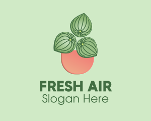 Watermelon Peperomia Plant logo design