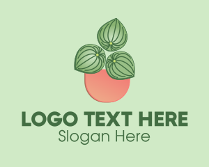 Trendy - Watermelon Peperomia Plant logo design