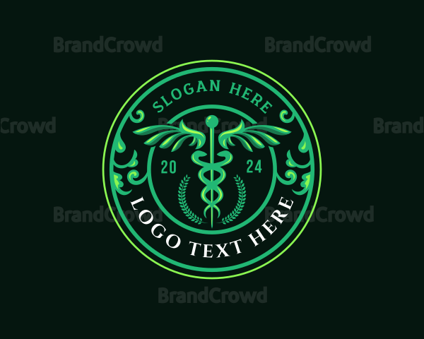 Medical Caduceus Wings Logo