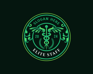 Medical Caduceus Wings logo design