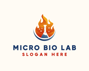 Fire Science Laboratory  logo design