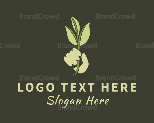 Herbal Plant Hand Logo
