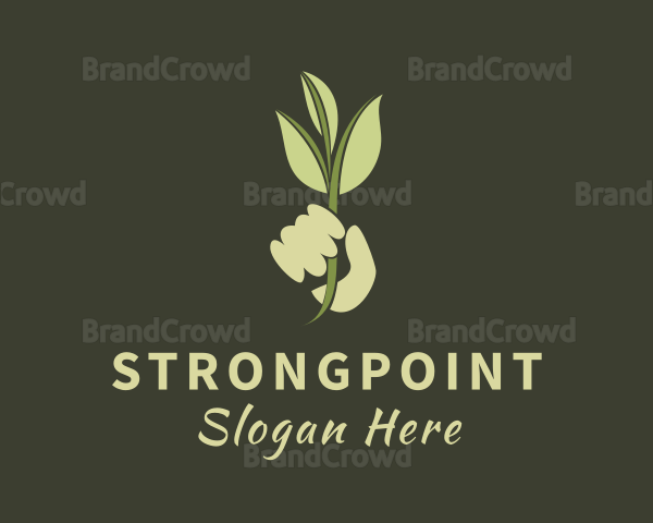 Herbal Plant Hand Logo