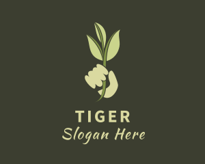 Plant - Herbal Plant Hand logo design