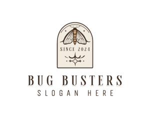 Vintage Insect Moth logo design