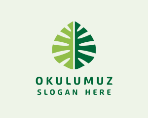 Organic Nature Leaf Logo