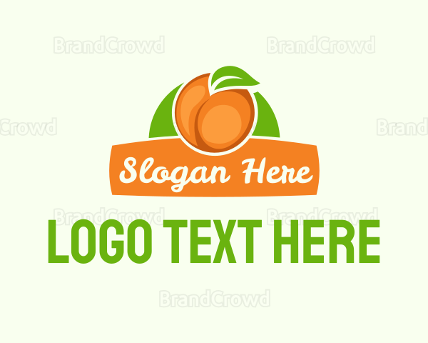 Orange Fruit Banner Logo