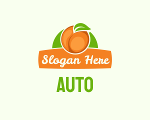 Orange Fruit Banner Logo